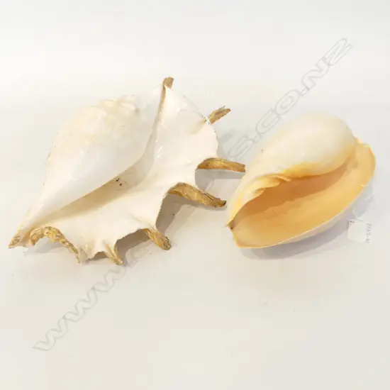 2 LG SHELLS, L. 300, 190mm