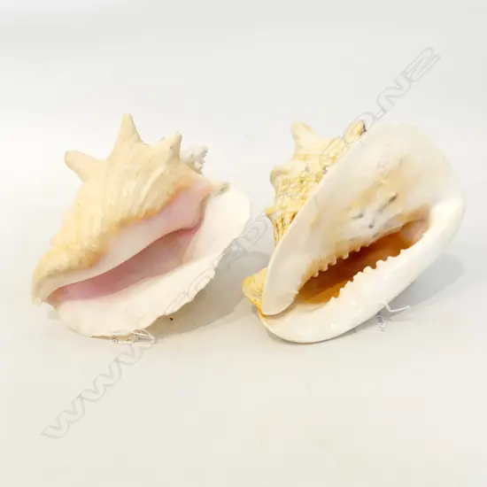 2 LG SHELLS, L. 180, 200mm