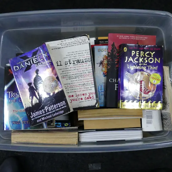 BOX LOT TEENAGE FICTION BOOKS