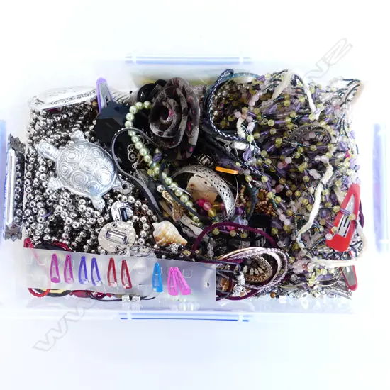LG CONTAINER ASST COSTUME JEWELLERY 