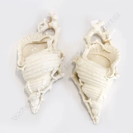 PR ROYAL WORCESTER BLANC DE CHINE PORCELAIN SHELL WALL POCKET VASES, H. 280mm 1 A/F