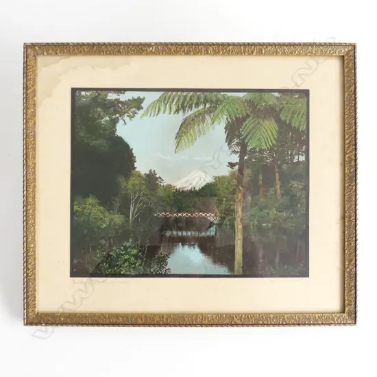 VINTAGE HAND COLOURED PHOTOGRAPHY OF PUKEKURA PARK 240 X 190mm