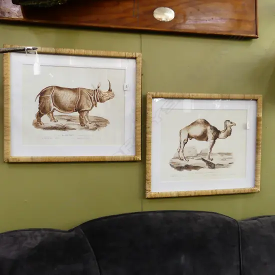 PR ANIMAL PRINTS; CAMEL & RHINO 350x450mm