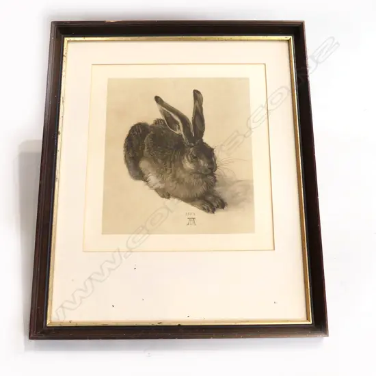 VINTAGE DURER HARE PRINT 240 X 220mm