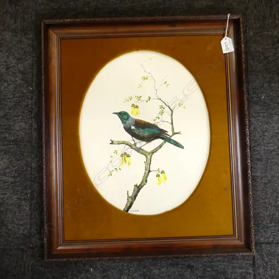 JEANETTE BLACKBURN (NZ b.1940) TUI IN KOWHAI, OIL ON BOARD 370x295mm