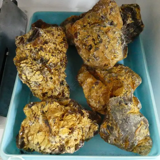 8 PCS KAURI GUM, LARGEST APPROX 140 X 90 X 100)  3KG