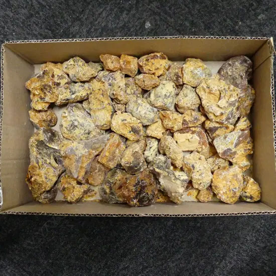 BOX SM & MEDIUM SIZED KAURI GUM PIECES, 2.9KG 