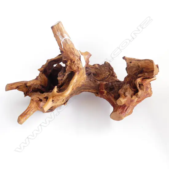 LARGE ORNAMENTAL TREE KNOT, MARKED 1975 L. 600mm