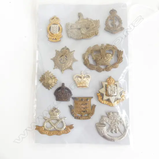 BAG ASST. MILITARY BADGES