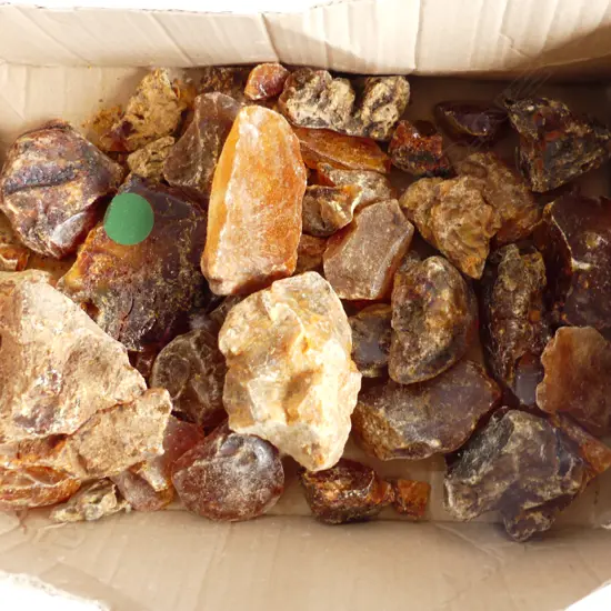 BOX OF KAURI GUM NUGGETS, APPROX 1250gms