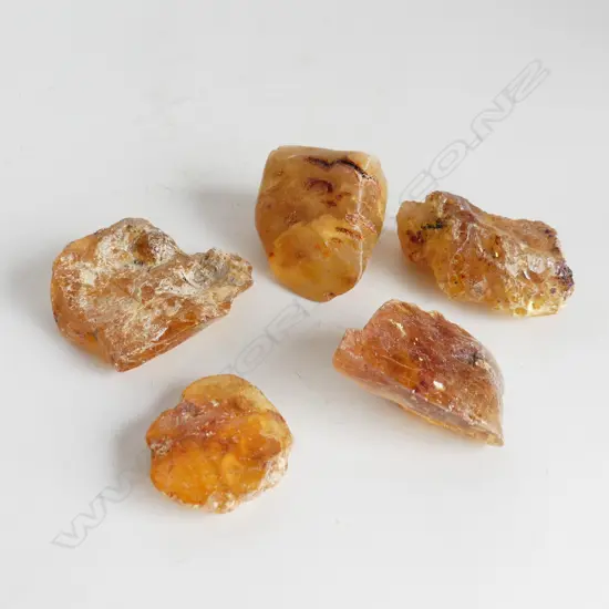 5 PIECES OF KAURI GUM, 184gms