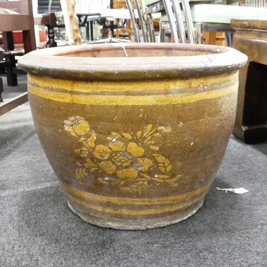 LG DRAGON POT 500mm dia