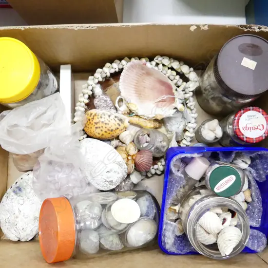 BOX ASST SHELLS & SHELL ORNAMENTS. INCL. JARS OF SHELLS ETC..