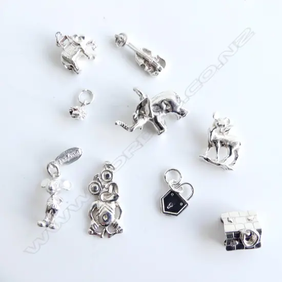 BAG 9 ASST STG SILVER CHARMS 23gms