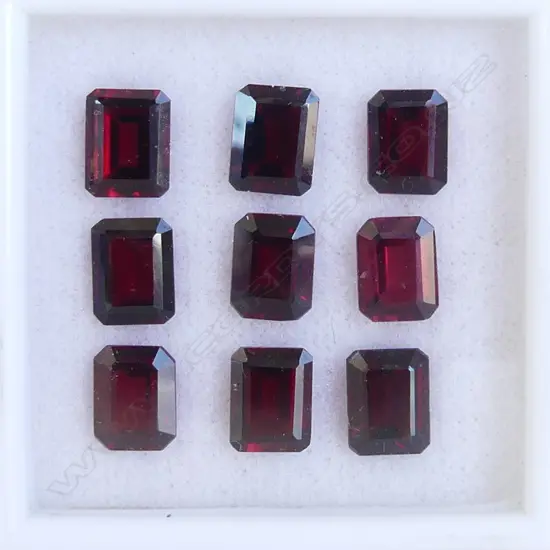 GARNET 9X7 OCTAGONAL 9 =24.12 CT