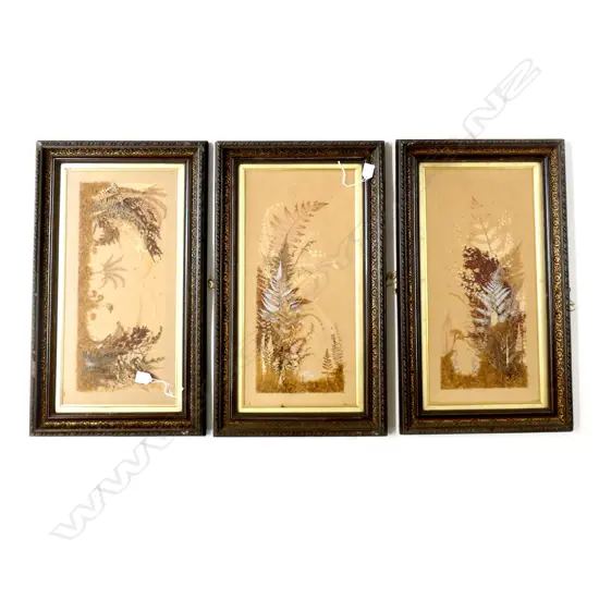3 ANTIQUE DRIED FERN ARTWORKS 690x400mm overall