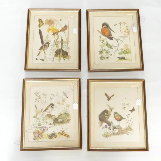 4 FRAMED NATURE PRINTS BY MARJORIE BLAMEY ALL 290X130mm