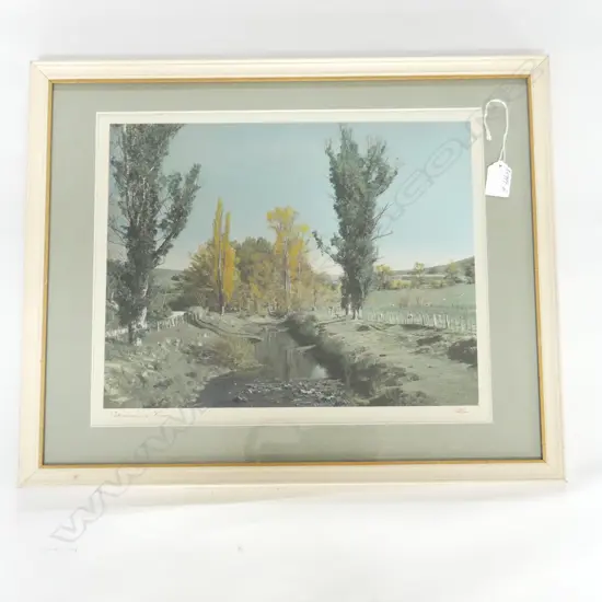 WHITE'S AVIATION VINTAGE PHOTO 'TOKOMAIRIRO RIVER' H/COLOURED 290 X 370mm signed & entitled. labelled verso