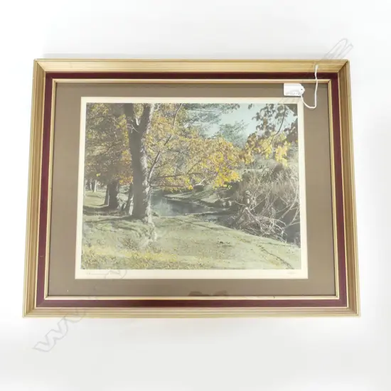 WHITE'S AVIATION VINTAGE PHOTO 'TOKOMAIRIRO RIVER' H/COLOURED 290 X 370mm signed & entitled. labelled verso