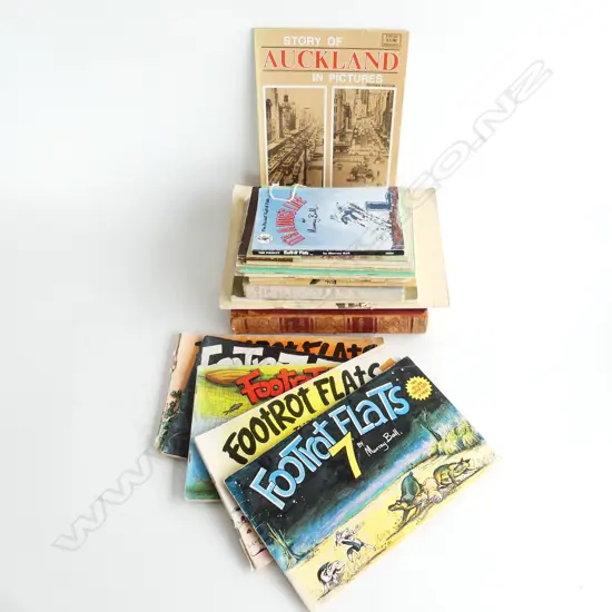 14 HISTORICAL NZ PUBLICATIONS; 5 Maori, 9 general, 6 Footrot Flats comic bks,1 'Musings in Maoriland' & 1 other