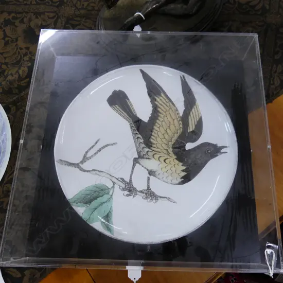 JOHNDERIAN CABINET PLATE. DEPICTS BIRD ON BRANCH.IN PERSPEX CASE PLATE Dia 340mm