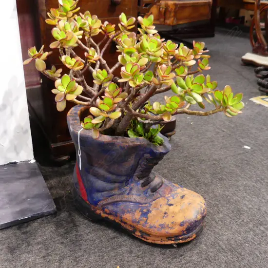 MONEY TREE IN BOOT POT H.500mm