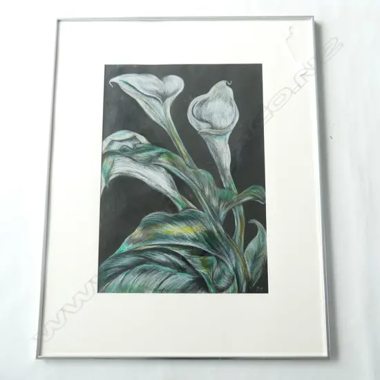 CALLA LILIES, PASTEL, SIGNED PC, 590 X 410mm