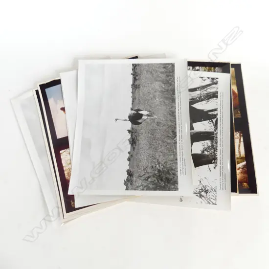 COLUMBEA PICTURES SET OF PHOTOS FROM BORN FREE