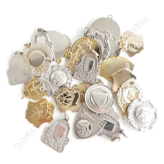 LG BAG SILVER & GOLD PLATED BLANK MEDALETTES