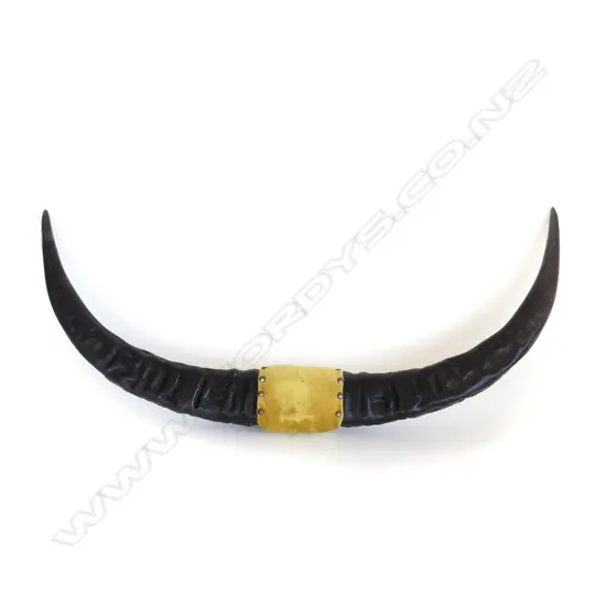 CATTLE HORNS W.920mm
