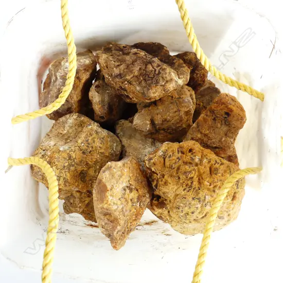 6.5KG BUCKET OF KAURI GUM NUGGETS