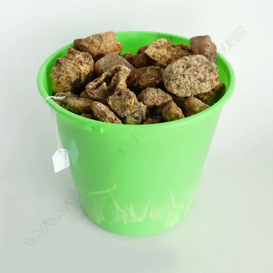 5.25KG BUCKET OF KAURI GUM NUGGETS