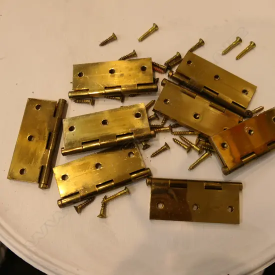 BAG 7 LGE BRASS HINGES W SCREWS