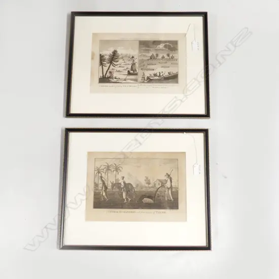 2x 18thC ENGRAVINGS FROM J.H.MOORE'S VOYAGES & TRAVELS... CHINESE SUBJECTS 'Chinese Husbandmen...'& '..Wild Ducks..Fish''