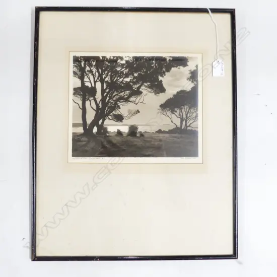 GEORGE CHANCE VINTAGE PHOTO 'Pohutukawa Trees_Bay of Plenty_NZ' SIGNED 220 X 260mm