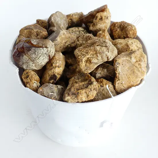 10KG BUCKET OF KAURI GUM NUGGETS