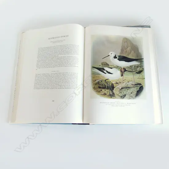 BULLERS BIRDS OF NEW ZEALAND, 1967 IN SLIP CASE H.380mm