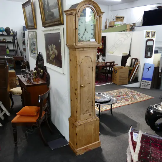 PINE LONG CASE CLOCK