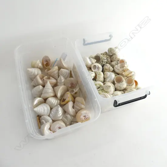 2 BOX LOTS SHELLS