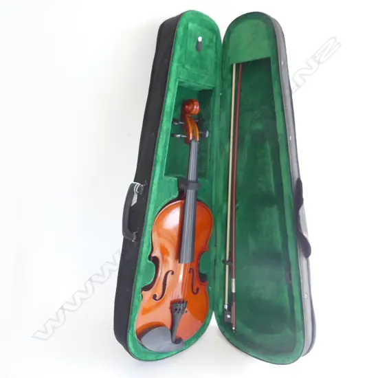 VIOLIN, CASED
