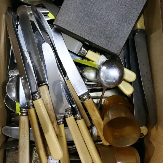 BOX LOT ASST. CUTLERY INCL. IVORINE 'BONE' HANDLED KNIVES ETC