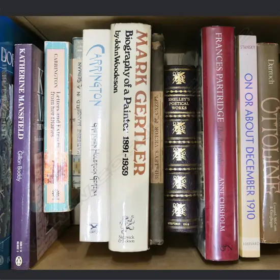 BOX LOT BOOKS; KATHERINE MANSFIELD / BLOOMSBURY / CARRINGTON ETC