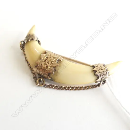 9CT GOLD SET TUSK BROOCH (A/F)