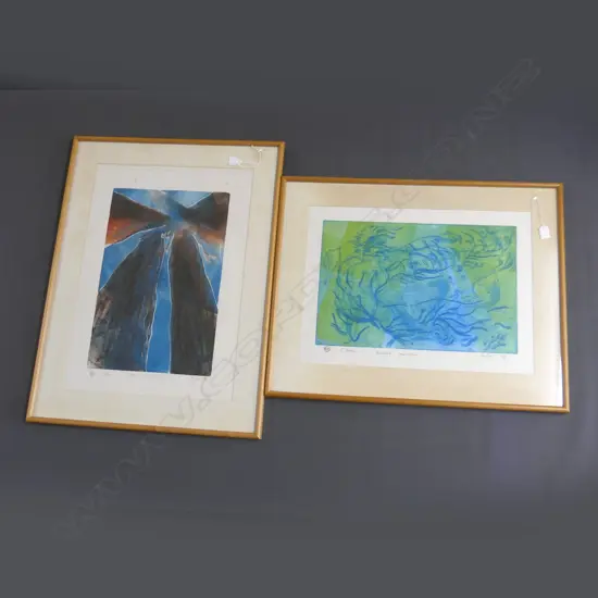 2 C.BALTON, FRAMED LTD EDITION PRINTS, ' PARADIS'  &  L'ESPRIT DE LA FOVER' 330 X 500MM