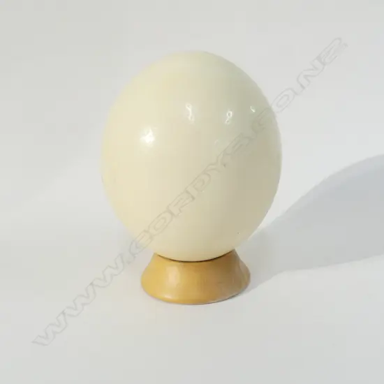 OSTRICH EGG WITH WOODEN STAND 