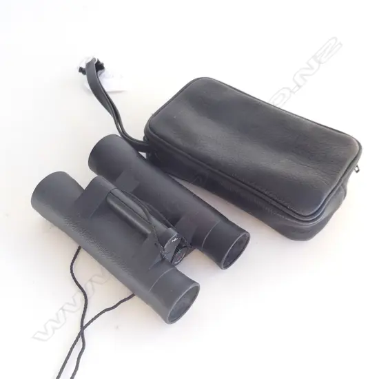 ZEISS 10 X 25B BINOCULARS IN LEATHER ZIP CASE 