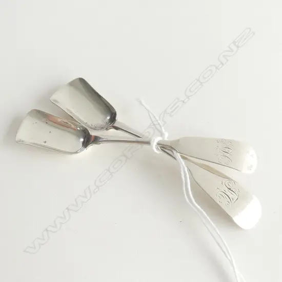 PAIR OF SALT SHOVELS, IRISH, WILLIAM CUMMINS, DUBLIN, 1821 