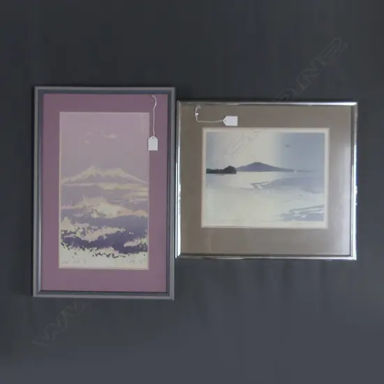 2 NUMBERED PRINTS BY TERRY ROUS RANGITOTO & RUAPEHU 480 BY 410MM