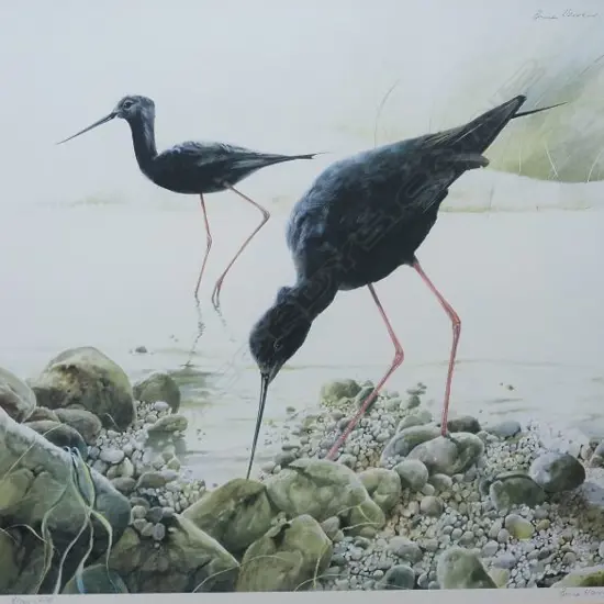 HARVEY, Bruce (NZ 1931-), Black Stilts, Screenprint Ltd Ed 40/500, signed, 450mm x 510mm