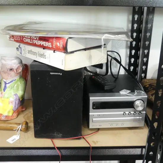 RED HOT CHILI PEPPERS VINYL ALBUM & RHCP BOOKS + PANASONIC SA-PM250 STEREO /BLUETOOTH/ USB + 2 SPEAKERS